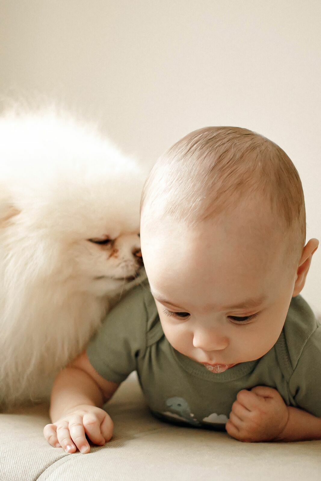 Foto Ensaio de bebê m casa com os pets? Foto Ensaio de bebê m casa com os pets? - Imagem 9