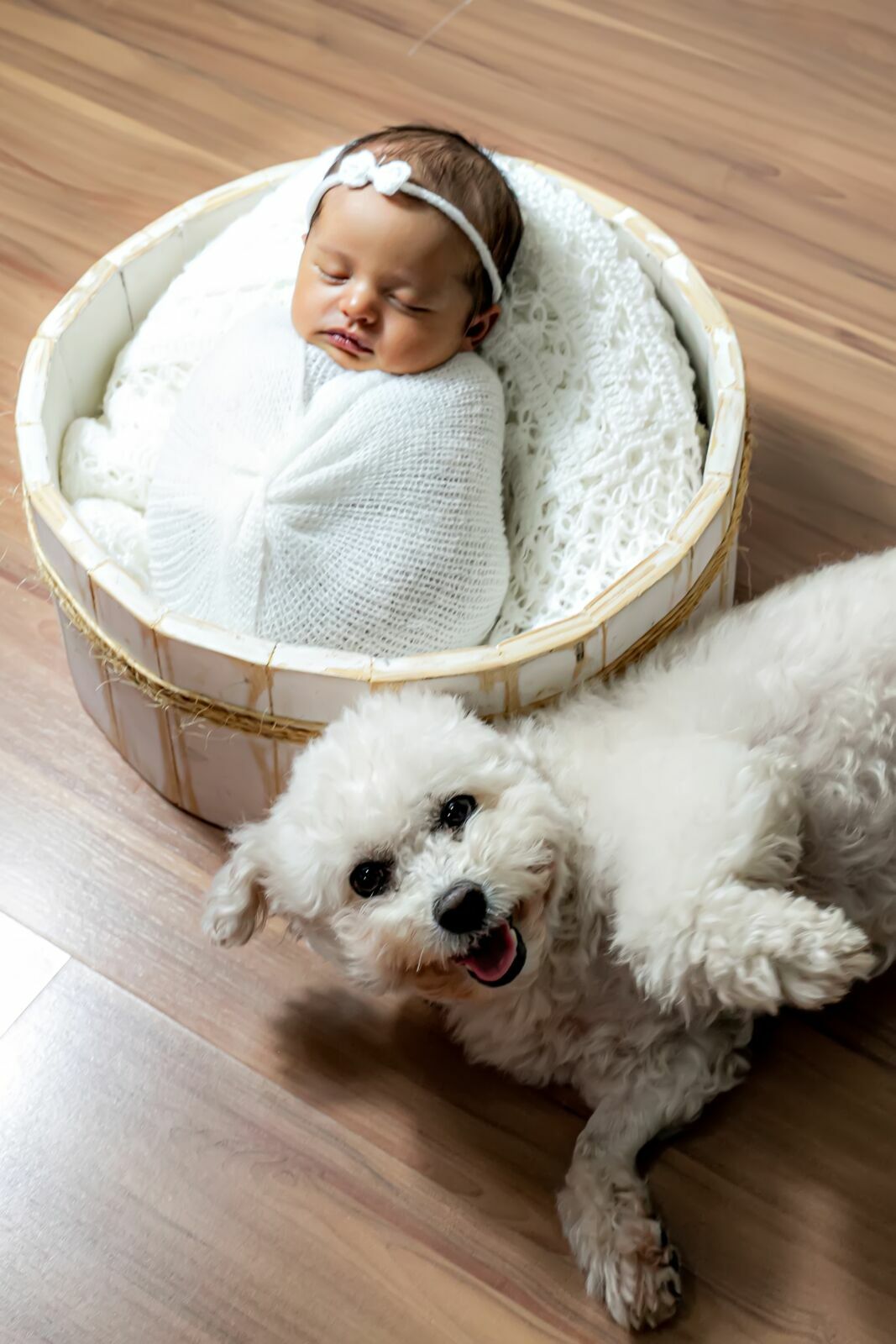 Foto Gestante + Newborn | Miriam, Ricardo e Olivia Foto Gestante + Newborn | Miriam, Ricardo e Olivia - Imagem 30