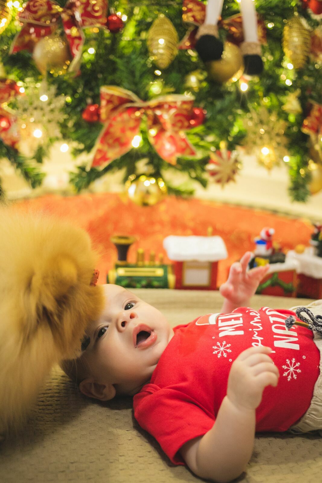 Foto Ensaio Natal Lifestyle - Imagem 17