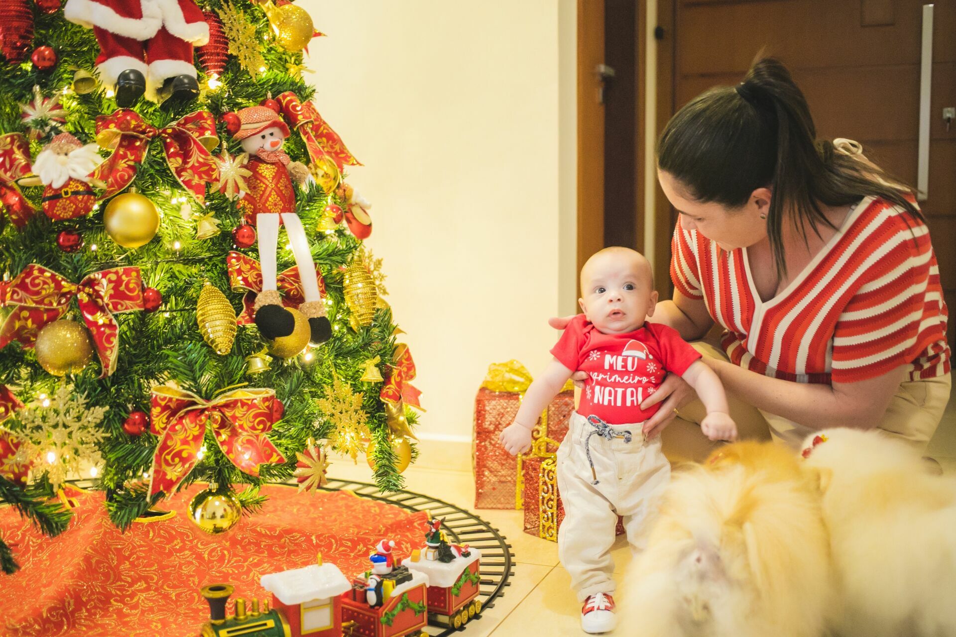 Foto Ensaio Natal Lifestyle - Imagem 13