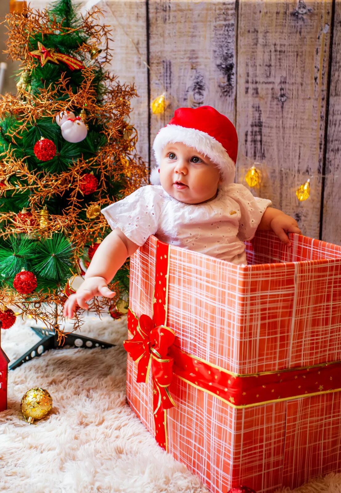 Foto Ensaio Natal Lifestyle - Imagem 31