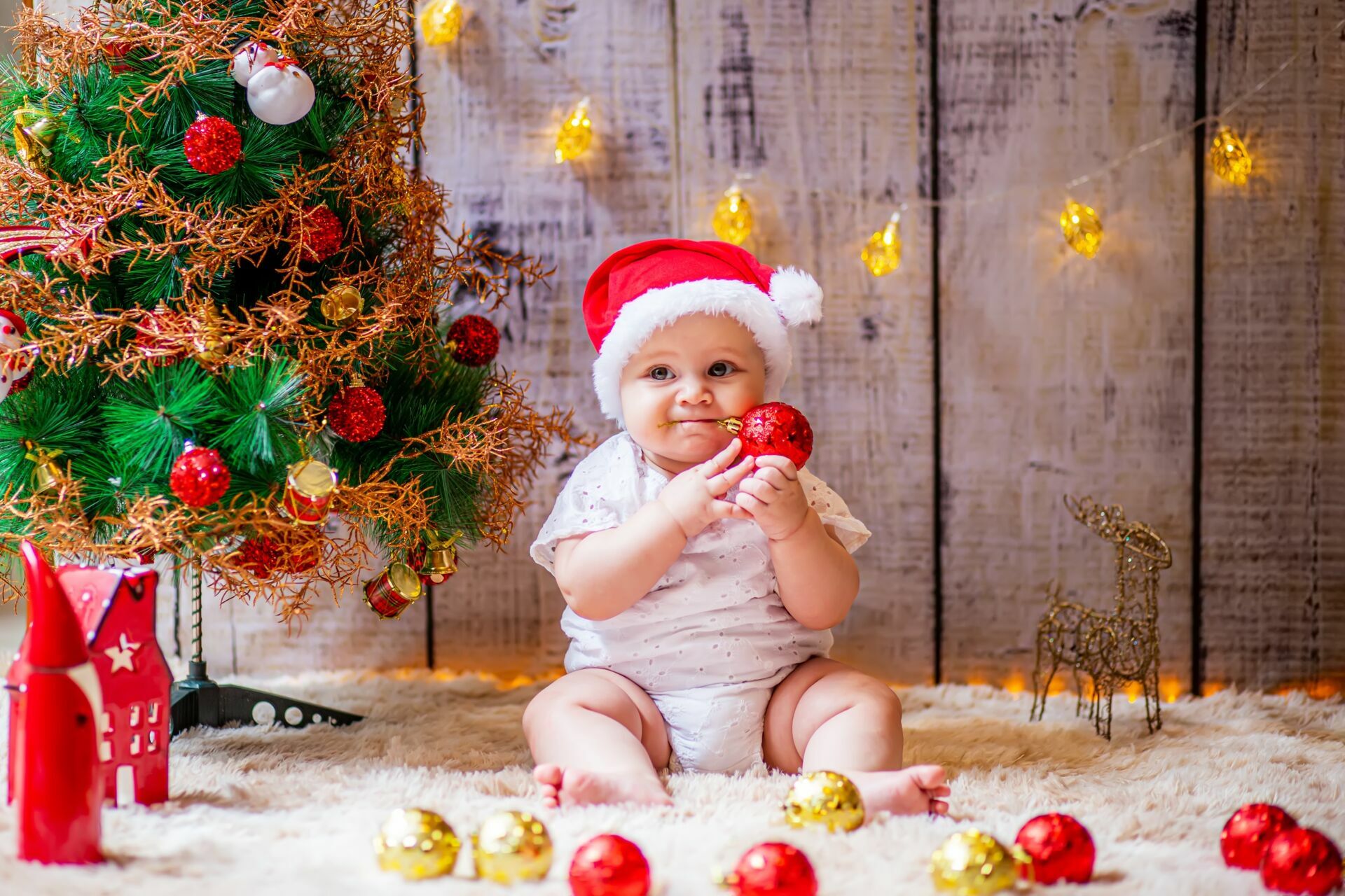 Foto Ensaio Natal Lifestyle - Imagem 28