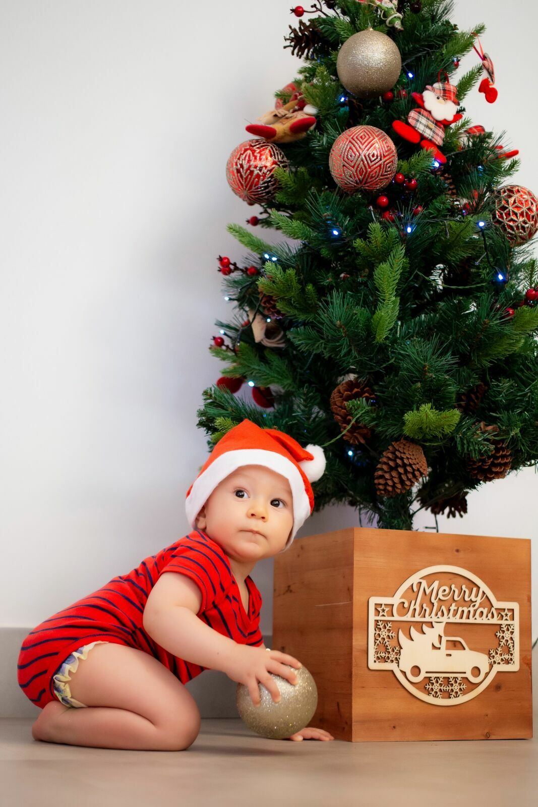 Foto Ensaio Natal Lifestyle - Imagem 40