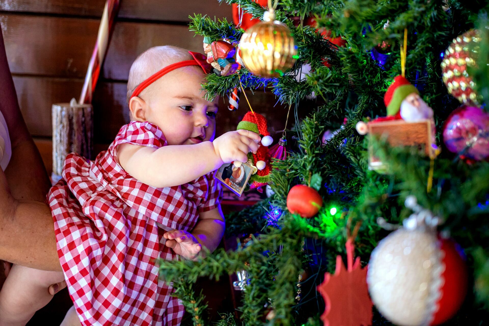 Foto Ensaio Natal Lifestyle - Imagem 46